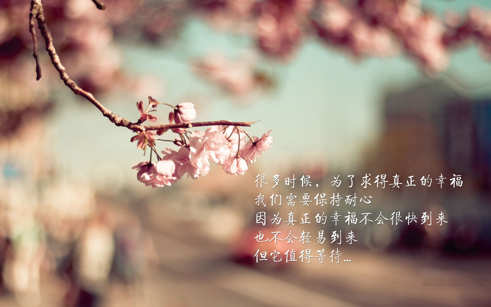 敖林斯战斯图加特，新晋强队备战关键之战