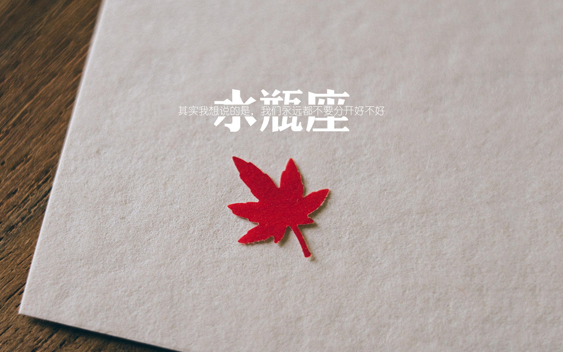 波切蒂诺重返南安普顿，能否带领球队重返胜利轨道？，波切蒂诺现在在哪执教