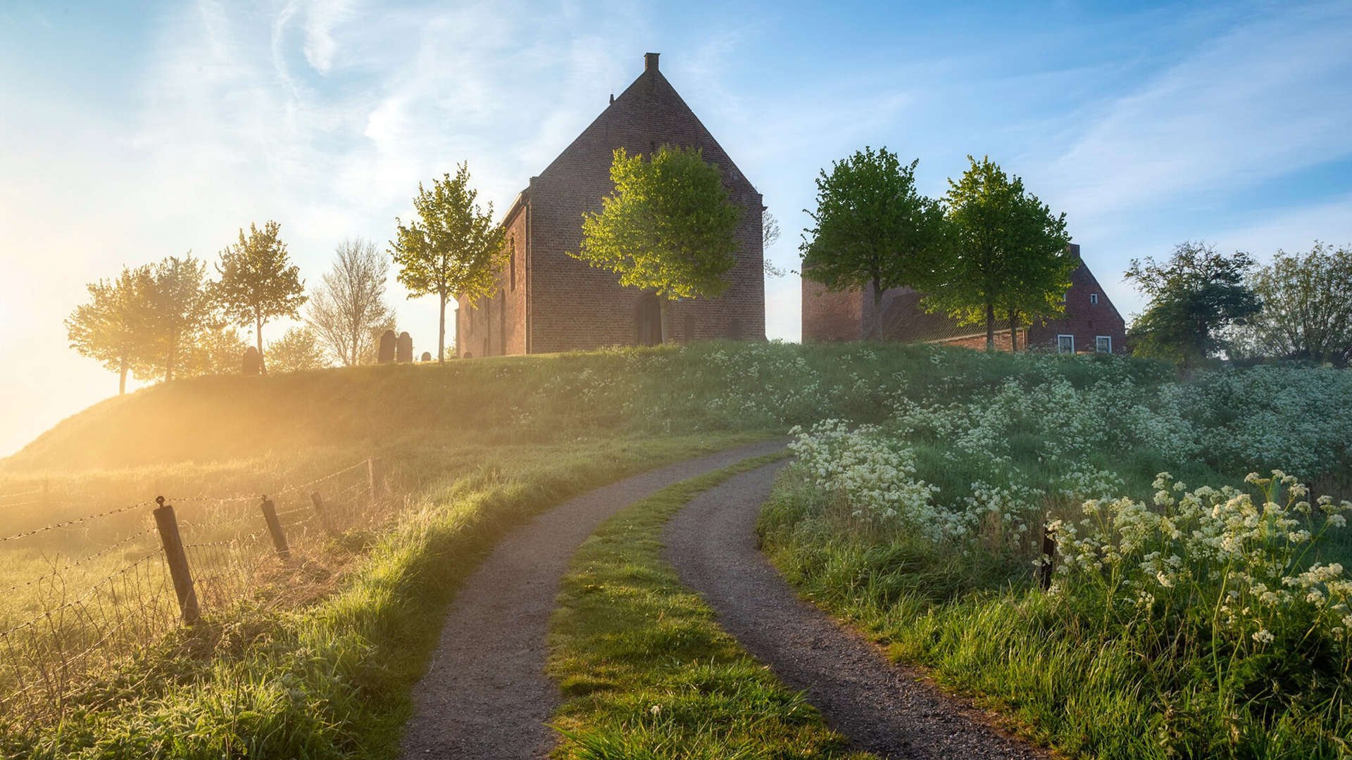 德甲实力爆棚：攻守兼备尽显王者威风！，德甲德甲