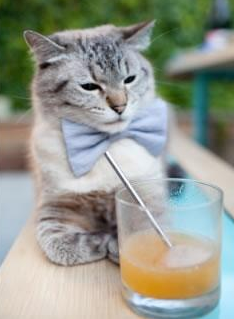 法甲超级激情:快速反击中的精彩瞬间,法甲超级联赛