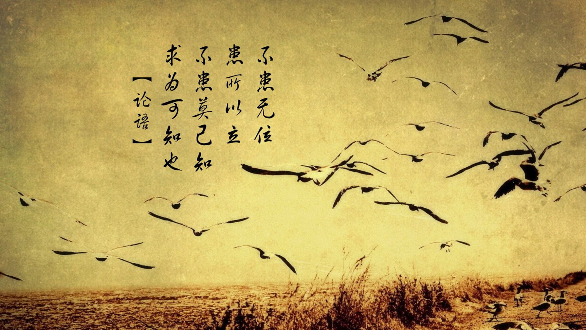 英超积分激烈角逐，冠军悬念渐趋明朗